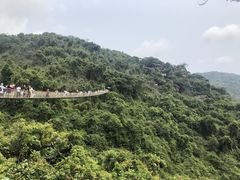 -亚龙湾热带天堂森林公园