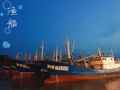 -沈家门渔港