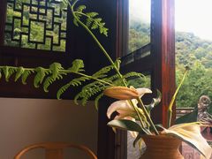 -韬光茶庵