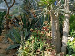 -国家植物园南园