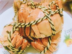 -喜洋洋蟹庄(阳澄湖店)