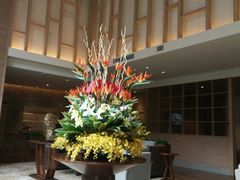 -金色阳光颐养院
