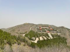 -龙口南山旅游景区