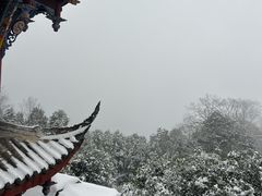 -青城山