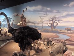 -陕西自然博物馆