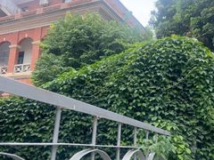 -鼓浪屿钢琴博物馆