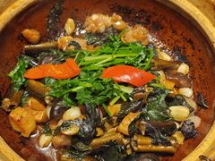 -谭厨中山传家菜.乳鸽.脆鲩鱼(华强北中航城店)