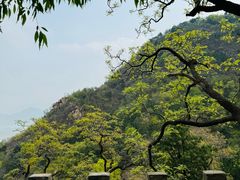 -鹫峰国家森林公园