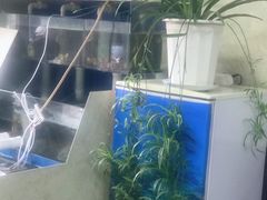 -公寓家常菜馆(海军博物馆店)