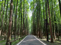 -山王坪喀斯特国家生态公园