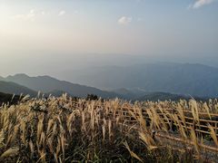 -大围山国家森林公园