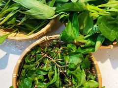 -攀枝花野菜铜火锅(万科凯德店)