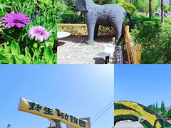 -大青山野生动物园