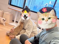 -有喵·猫咖·狗咖·40+猫狗有小奶狗(岗厦店)