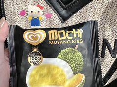 -麦哲伦丝绸度假村