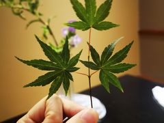 -希望日本料理(保利香槟花园店)