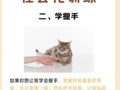 -宠福鑫动物医院(立水桥分院)