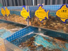 -韩记海鲜饺子旗舰店(红海新区店)