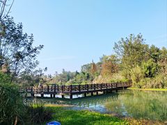 -桤木河湿地公园