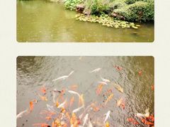 -苏苑饭店-中餐厅(长桥地区店)