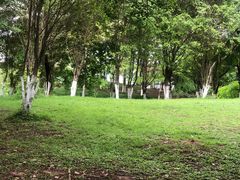 -番禺大夫山森林公园