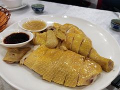 阳山大扇鸡-渔鸽皇酒楼(鸿大广场店)