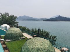 -望湖烤鱼