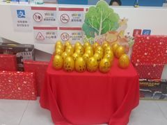 -童程童美·信息学竞赛·机器人编程·少儿编程(万寿路校区)