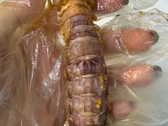 -阳江餐厅·30年老字号·粤菜海鲜大排档