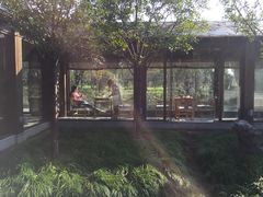 -东园小馆·早茶·淮扬小炒(宋夹城店)