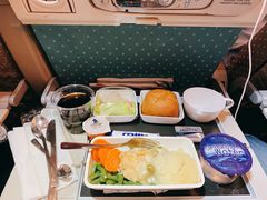-新加坡航空公司(ION)