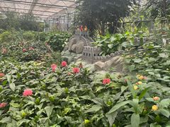 -南宫五洲植物乐园