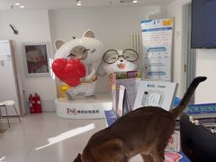-喜多萌中农锦绣动物医院24H·猫科·牙科MRI·CT