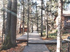 -五营红松林海景区