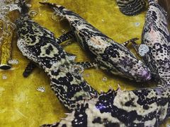 -恒达综合农贸市场(黄山路店)