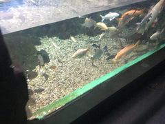 -常州海昌海洋探索馆