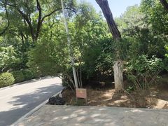 -小脚丫幼儿园(西二旗东一路校区)