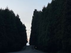 -武陵山森林公园