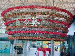 -百万葵园