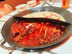 -朱光玉火锅馆(正弘城店)