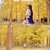 秋日金色童话☀️邂逅午后阳光宝藏银杏园