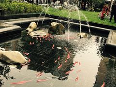 -北京希尔顿逸林酒店