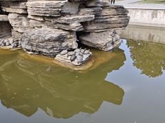 -关林