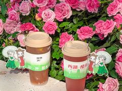 -炖物24章·顺时轻养茶(杭州大厦店)