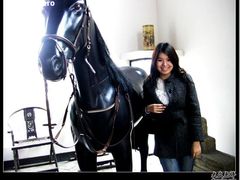 -松声马术俱乐部