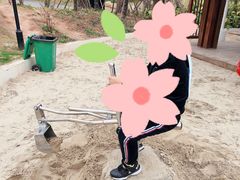 -九龙湖公园