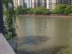 -苏州河梦清园环保主题公园