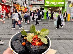 -董顺桃小粒臭豆腐(太平街一店)