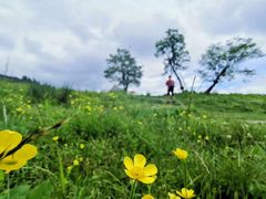 -硗碛藏寨·神木垒景区