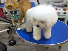 -PETKIT小佩宠物(古北店)